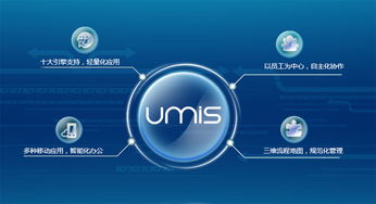 上海互聯(lián)網(wǎng)軟件集團 高端協(xié)同管理軟件產(chǎn)品和咨詢服務(wù)提供商